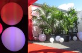 Globo Globo